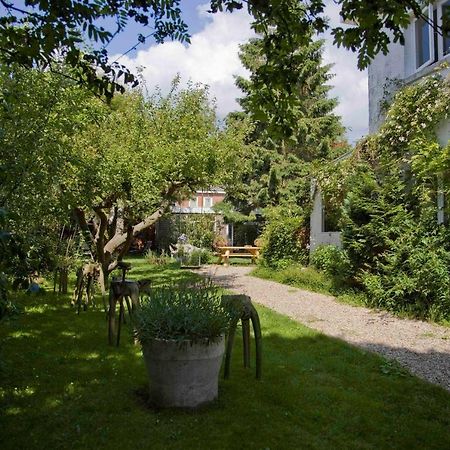 Achter Het Witte Huis Utrecht Dış mekan fotoğraf